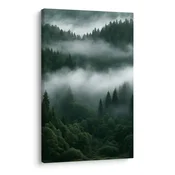Slika tih iglasti gozd v megli - 80x120
