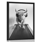 Plakat krava s slušalkami na tekalni stezi - 60x90 white