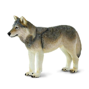 Safari Sivi volk