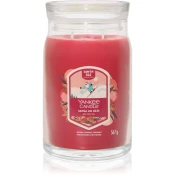 Yankee Candle Signature Large Jar 2 Wicks Santa On Skis Universal