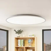 Lindby LED stropna svetilka Narima, 4.000 K, O 100 cm, srebrna - Kuhinja - Sodobni - bela, srebrna - Plastika