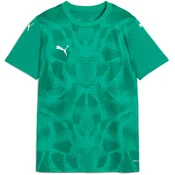 Puma Dres teamULTIMATE Jersey Jr