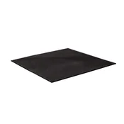 Polleo Sport Accessories Gumijasta podloga 2 cm 100x100cm, (20504882)