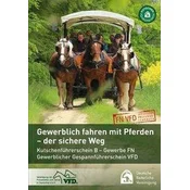 Gewerbliches Fahren mit Pferden - der sichere Weg