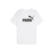 Puma  -  pisana