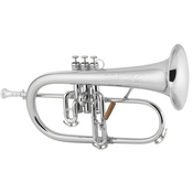 Krilovka 1FRSP Vintage one C.G. Conn