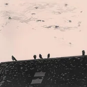 Stuart A. Staples - Arrhythmia (180 g) (LP)