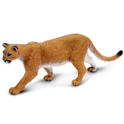 Safari Ameriška puma