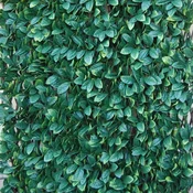 Tenax Sintetična živa meja Divy 3D X-Tens Osmanthus 1 m x 2 m zelena