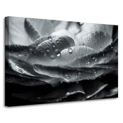 shumee Platno s sliko Cvet v kapljicah rose 90x60 cm
