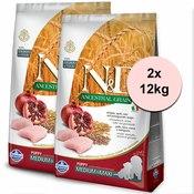 Farmina N&D dog LG Puppy MEDIUM & MAXI Chicken & Pomegranate 2x12 kg
