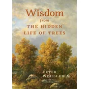 Wisdom from the Hidden Life of Trees