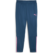 Hlače Puma teamLIGA Training Pants