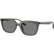 Ray-Ban Naočare za sunce RB 4439D 667587