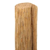 Floraworld Zastirka iz trstike 200 cm x 600 cm