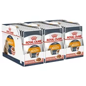 Royal Canin Hair & Skin Care Gravy vrečka 36 x 85 g
