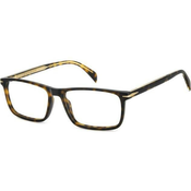 David Beckham DB1019 N9P