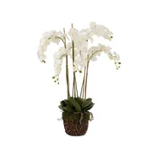 J-Line umetna rastlina dekorativna 60 x 53 x 104 cm