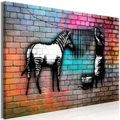 Slika - Washing Zebra - Colourful Brick (1 Part) Wide 90x60