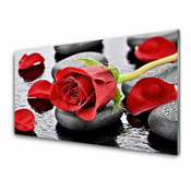 tulup.si Slika na steklu Red rose flower 140x70 cm 2 obešalnika