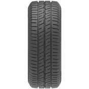 DELINTE zimska pnevmatika 195/70R15 104S Winter VAN