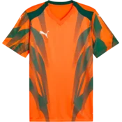 Puma Dres teamFINAL Graphic+