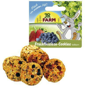 JR FARM PIŠKOTI ZA GLODALCE 120G
