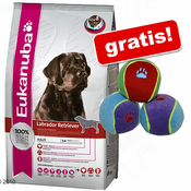 Eukanuba velika vreca + Trixie loptice besplatno! - Labrador Retriever, 12 kg