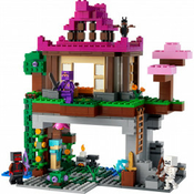 LEGO® Minecraft Prostor za urjenje - 21183