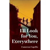 Ill Look for You, Everywhere