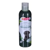 slomart šampon za hišne ljubljenčke beaphar black coat 250 ml