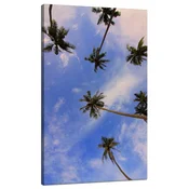 shumee Platno s tiskom Narava Kokosove palme 70x120 cm