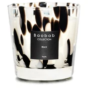 Baobab Black Pearls dišeča sveča  6 5 cm