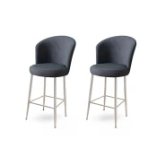 Hanah Home Set barskih stolica Fora, 2 komada, Antracit