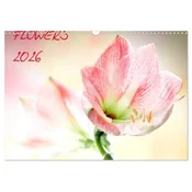 Flowers / 2026 (Wandkalender 2026 DIN A3 quer), CALVENDO Monatskalender
