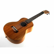 Kokio tenor ukulele mahogany w/bag