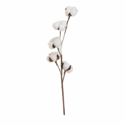 Sušena rastlina (višina 55 cm) Cotton – Casa Selección