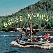 Boyscott - Goose Bumps (Blue Marble Coloured) (LP)