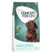 Concept for Life Large Junior - 2 x 12