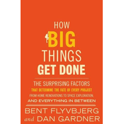 How Big Things Get Done