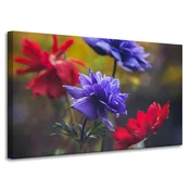 shumee Platno z motivom botanike in divjih rož 100x60 cm