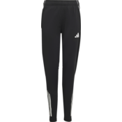 Hlače adidas TIRO25C TR PNTY