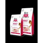 Brit Care | Adult Activity Support Puran & Piščanec