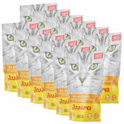 Josera Paté Turkey & Zucchini 12 x 85 g