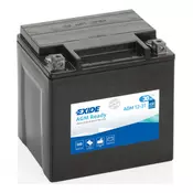 Exide AGM12-31 akumulator za motor, 30 Ah, D+, 430 A(EN), 165 x 130 x 175 mm