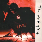 The Pop Group - Y Live! (Box Set) (LP)