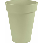 Nicoli Embalaža Arke visok - žajbelj 33 cm
