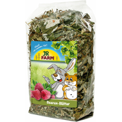 JR FARM JAGODIČEVJE 100G
