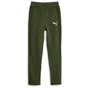 Hlače Puma EVOSTRIPE Pants DK B