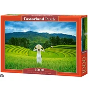 Castorland Riževa polja v Vietnamu Puzzle 1000 kosov